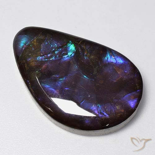Ammolite Multicolore naturelle Fantaisie, 19.21 ct, Opaque