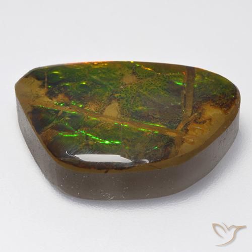 Ammolite Multicolore naturelle Fantaisie, 13.40 ct, Opaque