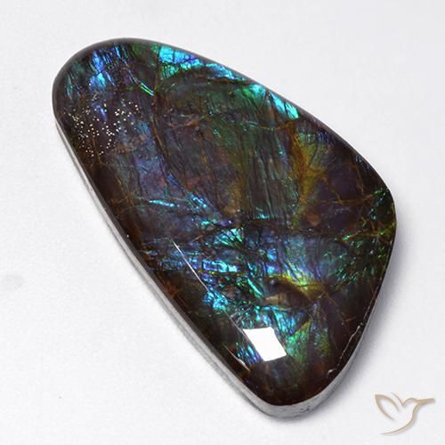 18.97ct Naturel Multicolore Ammolite, Fantaisie, Opaque
