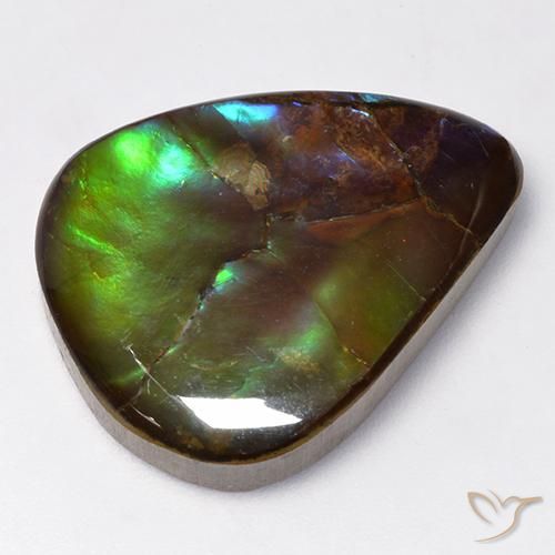 Ammolite Multicolore naturelle En forme de poire, 16.73 ct, Opaque
