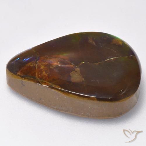 Ammolite Multicolore naturelle En forme de poire, 16.73 ct, Opaque