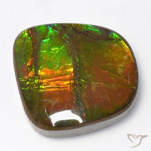 Ammolite Multicolore naturelle Fantaisie, 13.06 ct, Opaque