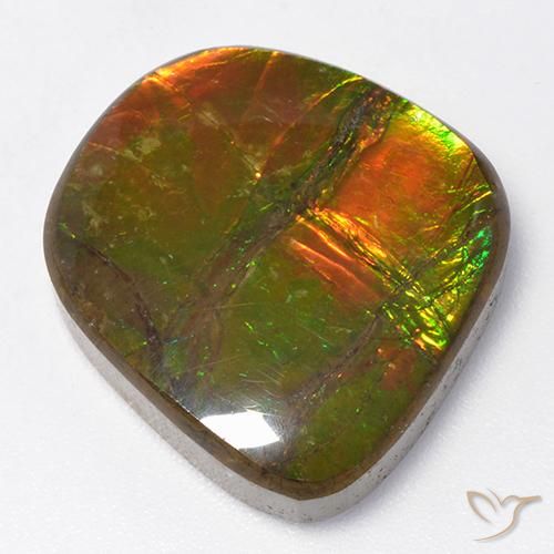 Ammolite Multicolore naturelle Fantaisie, 13.06 ct, Opaque