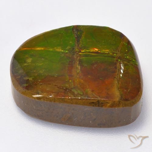 Ammolite Multicolore naturelle Fantaisie, 13.06 ct, Opaque