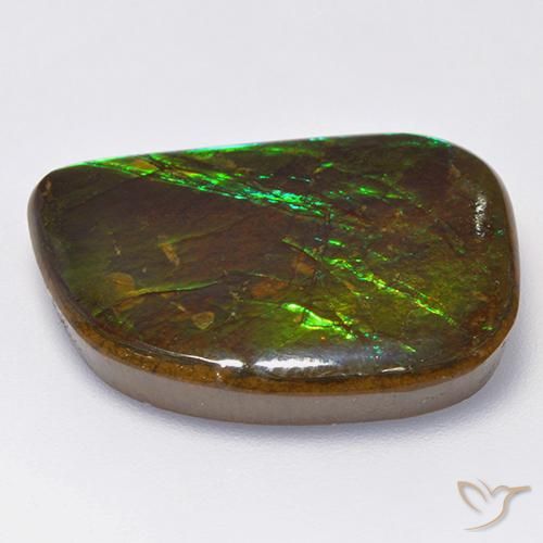 Ammolite Multicolore naturelle Fantaisie, 19.75 ct, Opaque