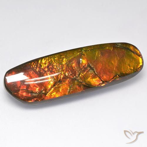 Ammolite Multicolore naturelle Fantaisie, 18.52 ct, Opaque