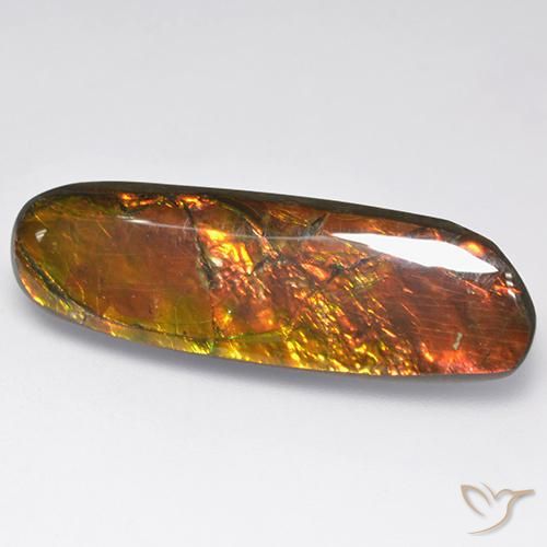 Ammolite Multicolore naturelle Fantaisie, 18.52 ct, Opaque