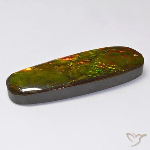 Ammolite Multicolore naturelle Fantaisie, 18.52 ct, Opaque