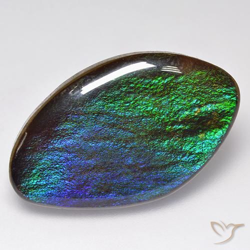 18.89ct Naturel Multicolore Ammolite, Fantaisie, Opaque