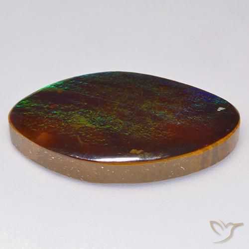 Ammolite Multicolore naturelle Fantaisie, 18.89 ct, Opaque
