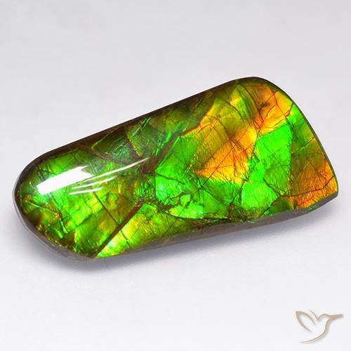 Ammolite Multicolore naturelle Fantaisie, 16.18 ct, Opaque