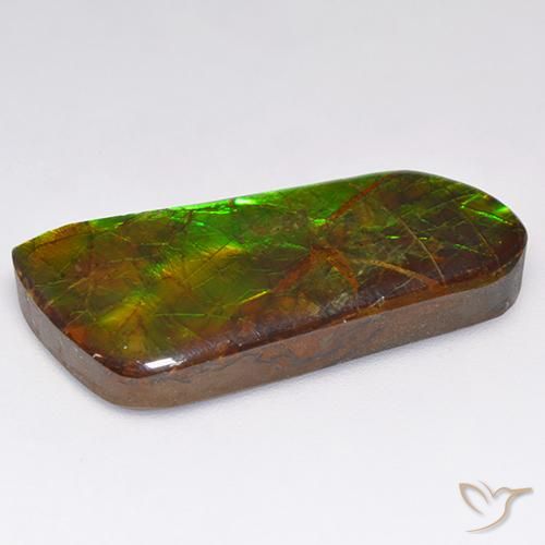 Ammolite Multicolore naturelle Fantaisie, 16.18 ct, Opaque