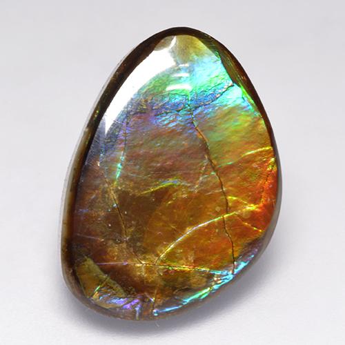 Ammolite multicolore naturelle forme fantaisie, 14,52 ct, opaque