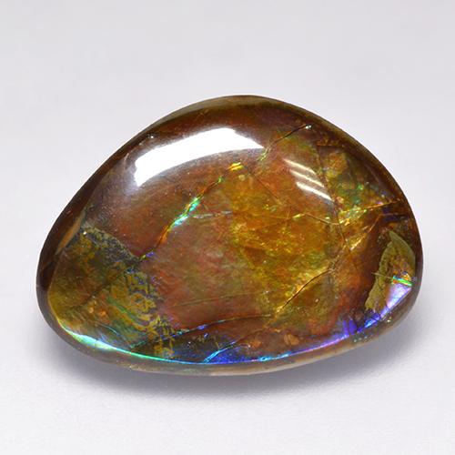 Ammolite multicolore naturelle forme fantaisie, 14,52 ct, opaque