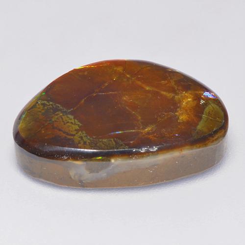 Ammolite multicolore naturelle forme fantaisie, 14,52 ct, opaque