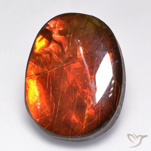 12.19ct Naturel Multicolore Ammolite, Fantaisie, Opaque