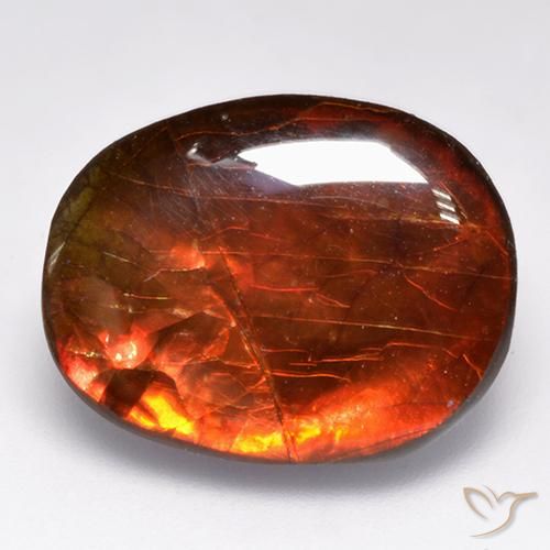 Ammolite Multicolore naturelle Fantaisie, 12.19 ct, Opaque
