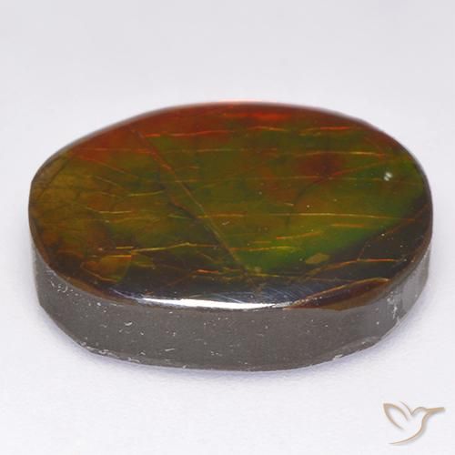 Ammolite Multicolore naturelle Fantaisie, 12.19 ct, Opaque