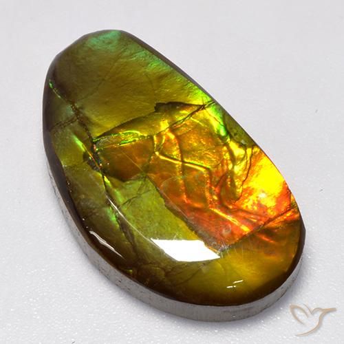 Ammolite Multicolore naturelle Fantaisie, 13.86 ct, Opaque