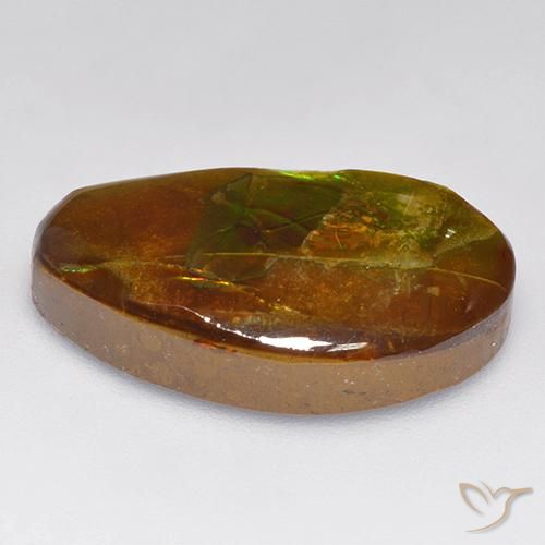 Ammolite Multicolore naturelle Fantaisie, 13.86 ct, Opaque