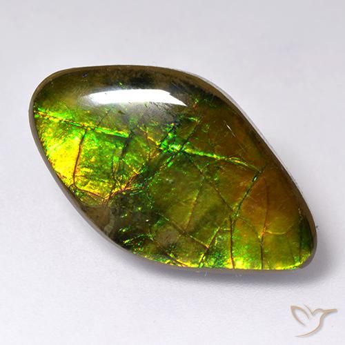Ammolite Multicolore naturelle Fantaisie, 14.12 ct, Opaque