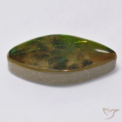 Ammolite Multicolore naturelle Fantaisie, 14.12 ct, Opaque