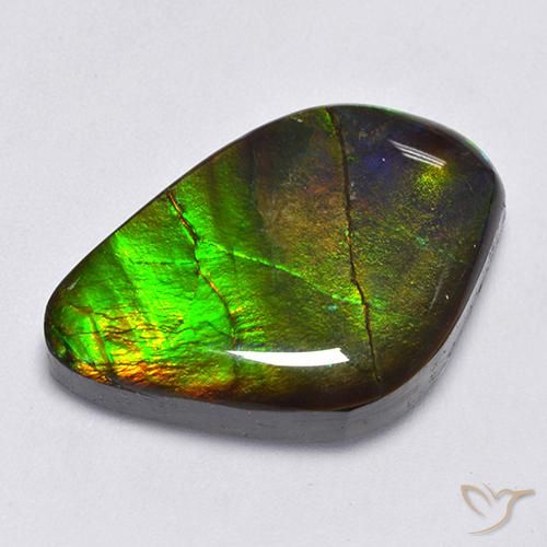Ammolite Multicolore naturelle Fantaisie, 22.30 ct, Opaque