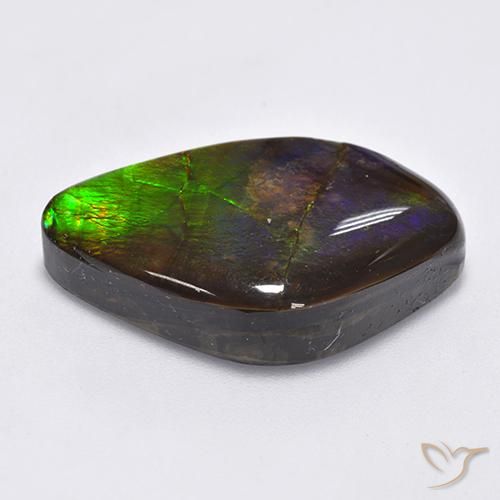 Ammolite Multicolore naturelle Fantaisie, 22.30 ct, Opaque