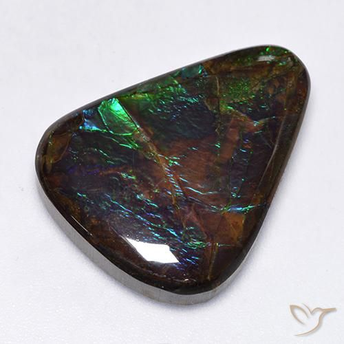 Ammolite Multicolore naturelle Fantaisie, 17.25 ct, Opaque