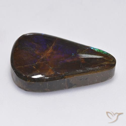 Ammolite Multicolore naturelle Fantaisie, 17.25 ct, Opaque