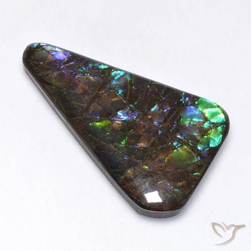 Ammolite Multicolore naturelle Fantaisie, 17.65 ct, Opaque