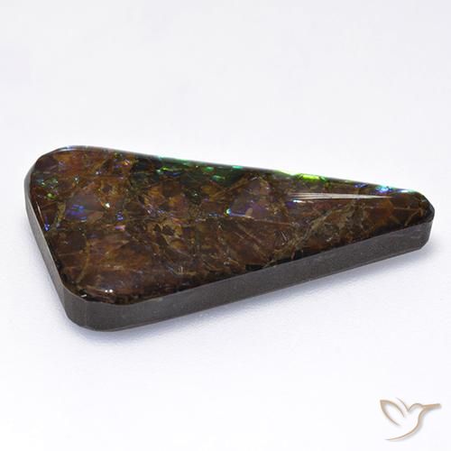 Ammolite Multicolore naturelle Fantaisie, 17.65 ct, Opaque
