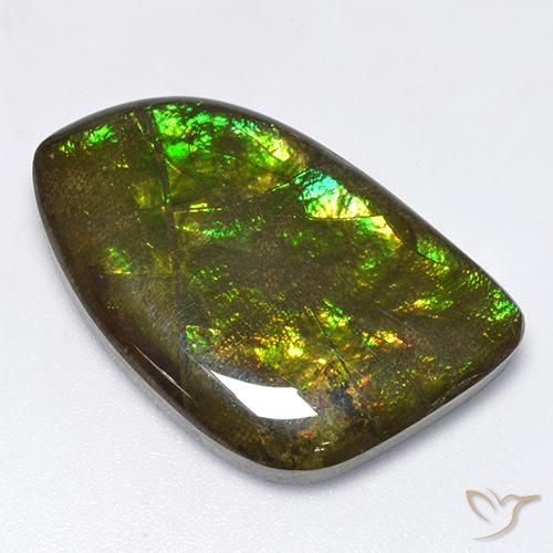Ammolite Multicolore naturelle Fantaisie, 18.89 ct, Opaque