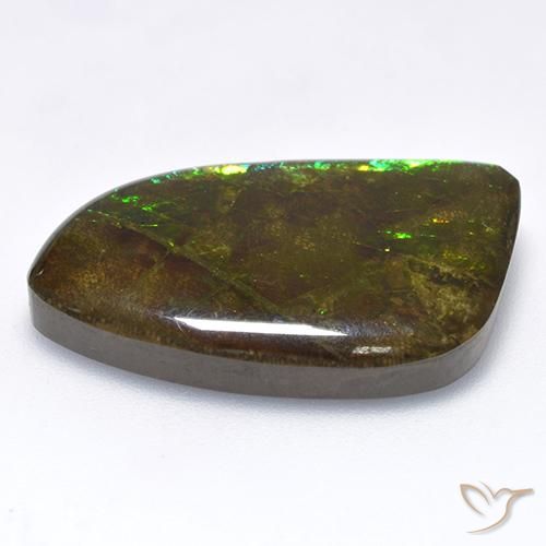 Ammolite Multicolore naturelle Fantaisie, 18.89 ct, Opaque