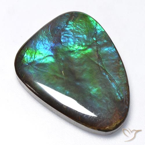 25.47ct Naturel Multicolore Ammolite, Fantaisie, Opaque