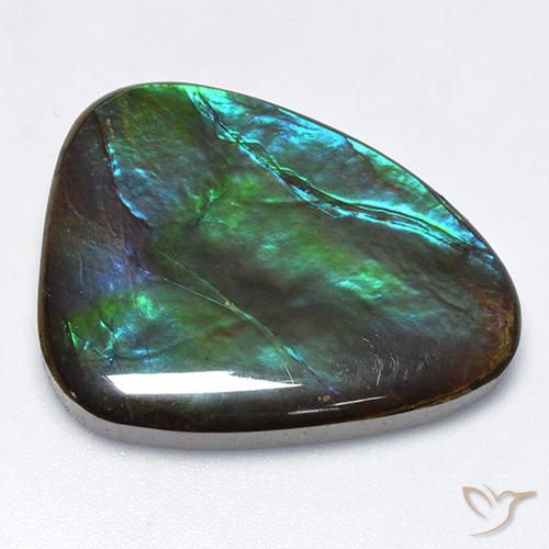 Ammolite Multicolore naturelle Fantaisie, 25.47 ct, Opaque