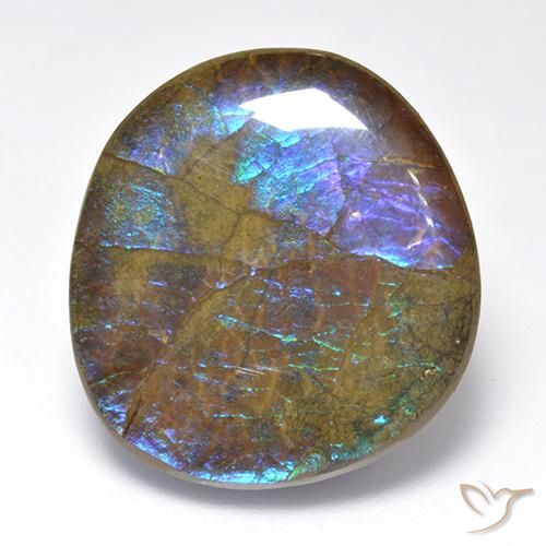 Ammolite Multicolore naturelle Fantaisie, 23.02 ct, Opaque