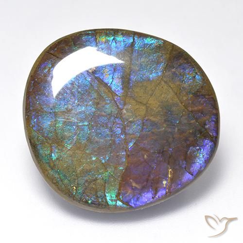 Ammolite Multicolore naturelle Fantaisie, 23.02 ct, Opaque