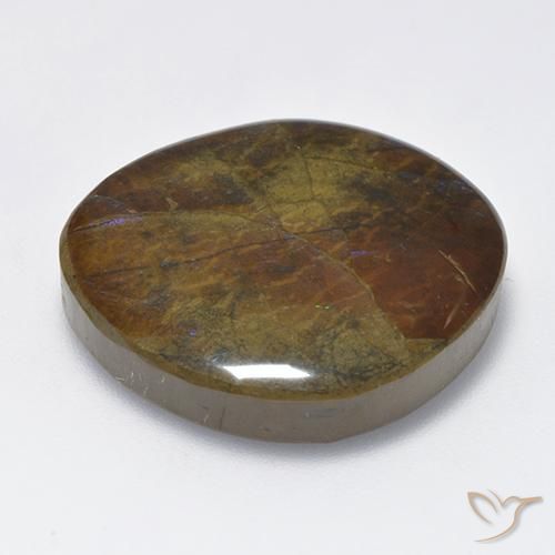 Ammolite Multicolore naturelle Fantaisie, 23.02 ct, Opaque