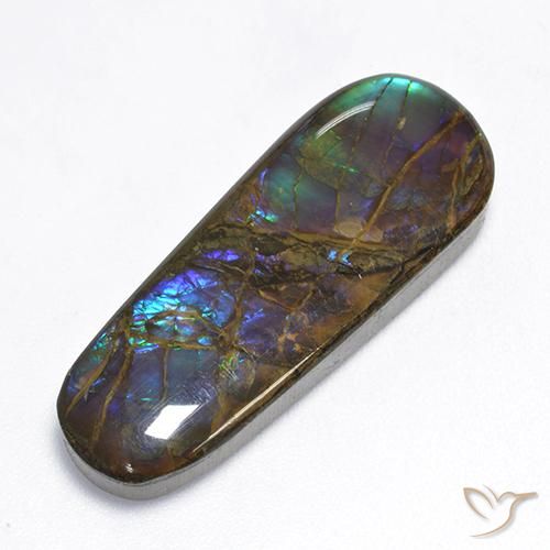 Ammolite Multicolore naturelle Fantaisie, 16.62 ct, Opaque