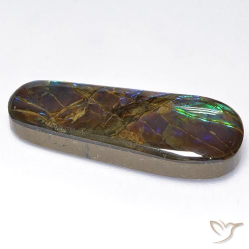 Ammolite Multicolore naturelle Fantaisie, 16.62 ct, Opaque