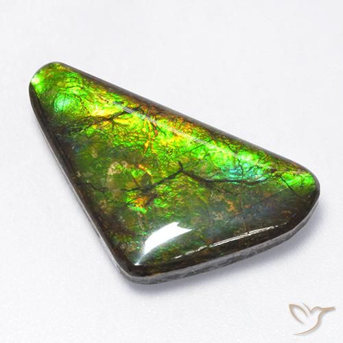 Ammolite Multicolore naturelle Fantaisie, 10.43 ct, Opaque