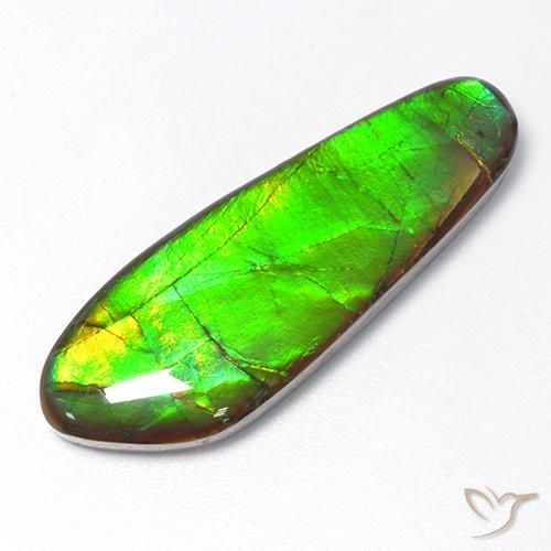 17.48ct Naturel Multicolore Ammolite, Fantaisie, Opaque