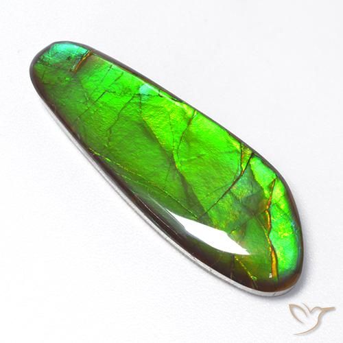 Ammolite Multicolore naturelle Fantaisie, 17.48 ct, Opaque