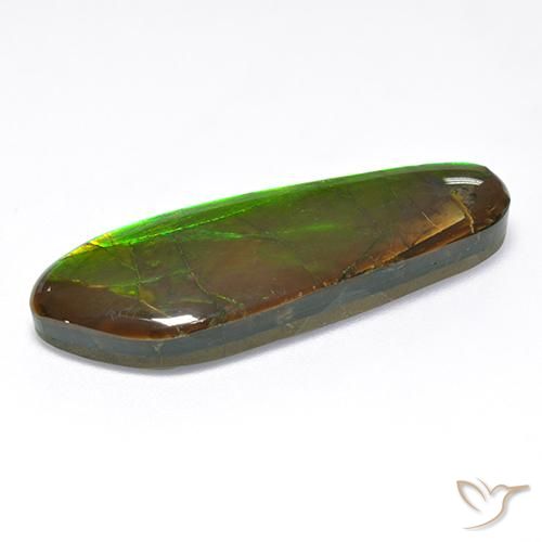 Ammolite Multicolore naturelle Fantaisie, 17.48 ct, Opaque