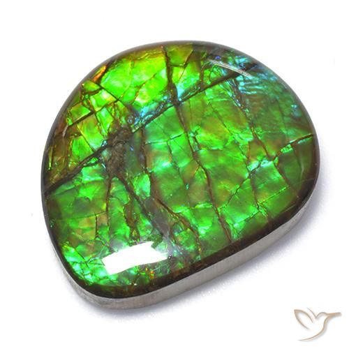 18.62ct Naturel Multicolore Ammolite, Fantaisie, Opaque