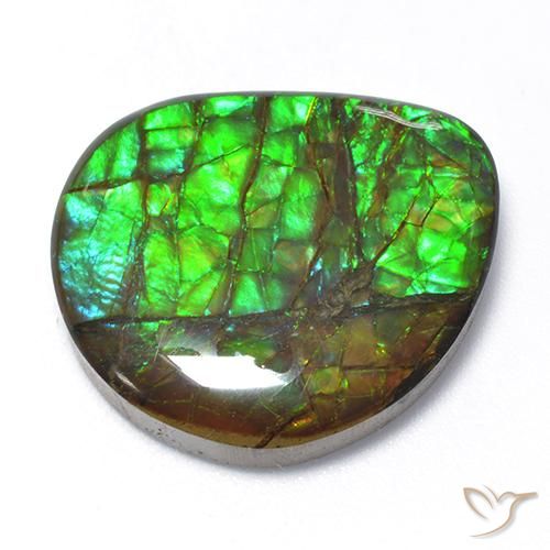 Ammolite Multicolore naturelle Fantaisie, 18.62 ct, Opaque