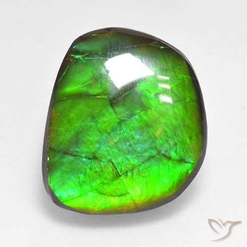 10.59ct Naturel Multicolore Ammolite, Fantaisie, Opaque
