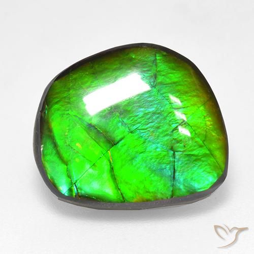 Ammolite Multicolore naturelle Fantaisie, 10.59 ct, Opaque