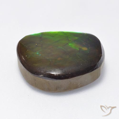 Ammolite Multicolore naturelle Fantaisie, 10.59 ct, Opaque